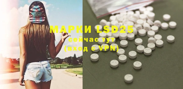 ПСИЛОЦИБИНОВЫЕ ГРИБЫ Верхний Тагил