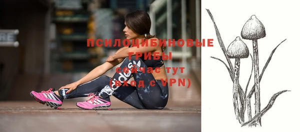 ПСИЛОЦИБИНОВЫЕ ГРИБЫ Верхний Тагил