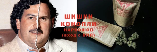 спиды Верея