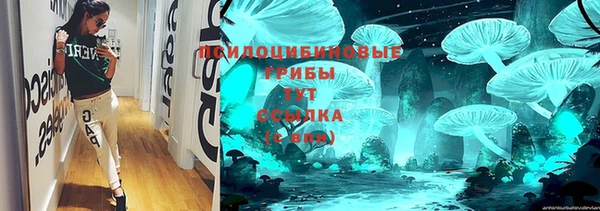 ПСИЛОЦИБИНОВЫЕ ГРИБЫ Верхний Тагил