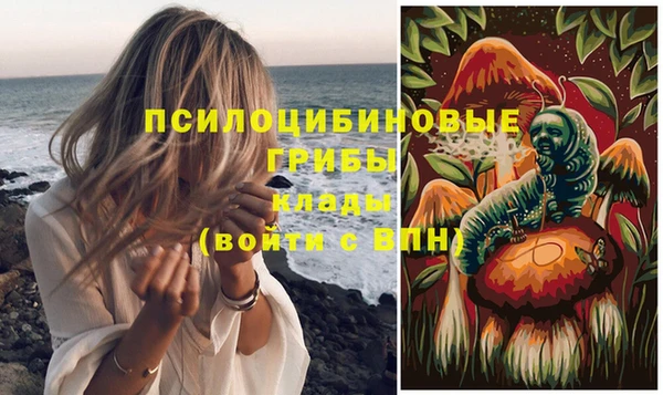 ПСИЛОЦИБИНОВЫЕ ГРИБЫ Верхний Тагил