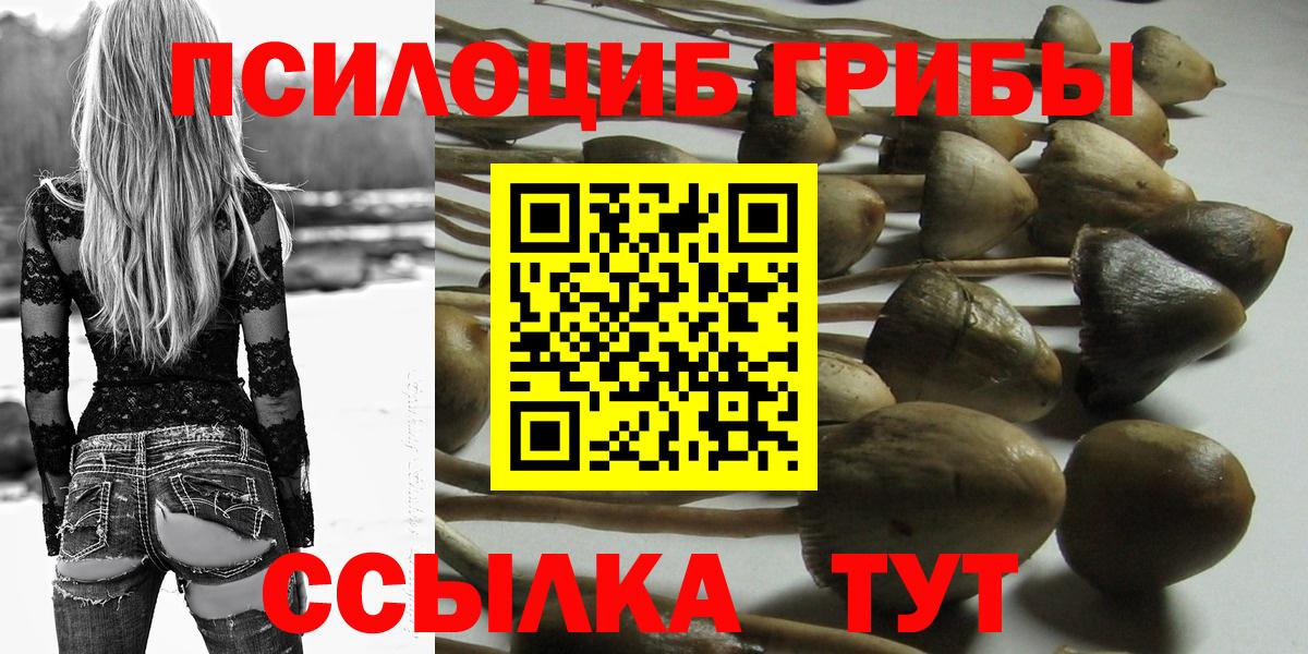 Галлюциногенные грибы прущие грибы  Галлюциногенные грибы ЛСД  Вход с VPN  наркотики  Назарово 